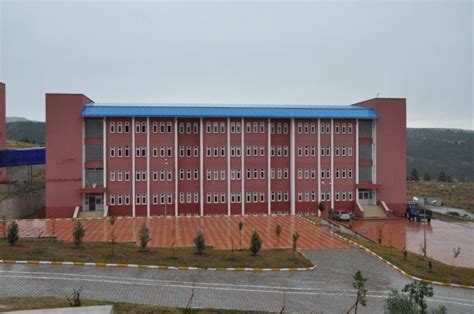 Nadzuzanska Yüksek Okulu